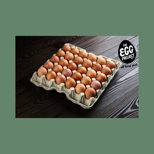 SALE Free Range Size 6 SALE - 30 Eggs